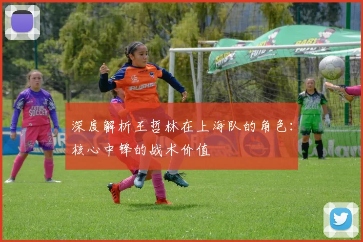 深度解析王哲林在上海队的角色：核心中锋的战术价值